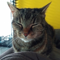 Mika