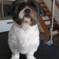 Ted